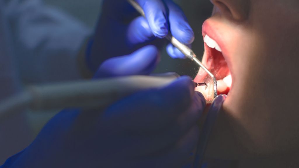 dentist 2